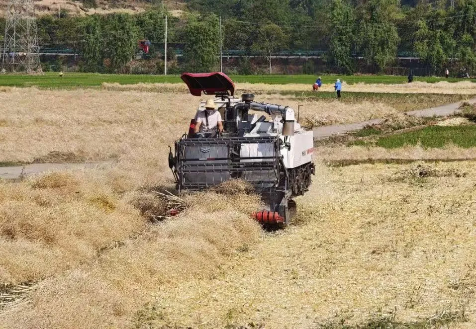 上半場，穩中有進向新向好！